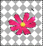 C[̉摜