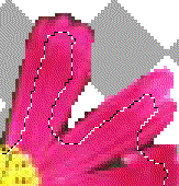 tFUȎI͈